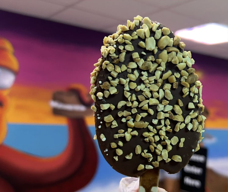 Chocolate Dipped Iceacream Bar