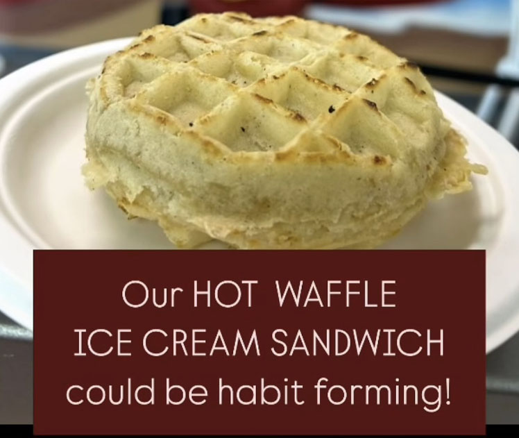 Hot Waffle Icecream Sandwich